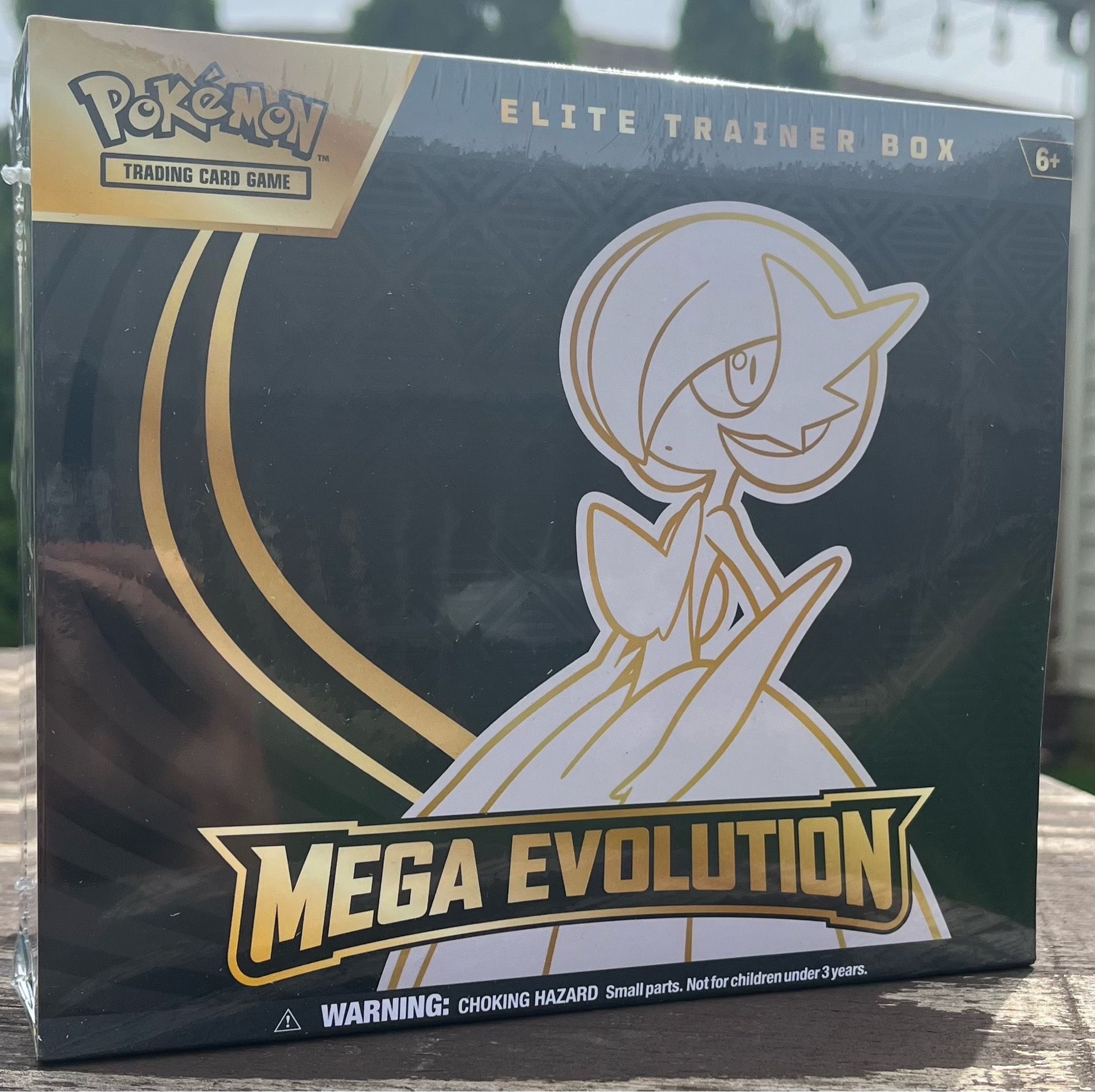 Pokemon Mega Evolution