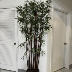 Faux Bamboo Tree $10 