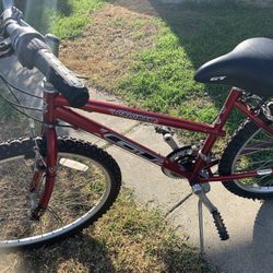 Palomar GT  Excellent Like New 65 Firm