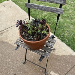 Garden Rustic Chair Plant Stand