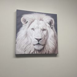 Beautiful Lion Canvas Wall Art 24x24