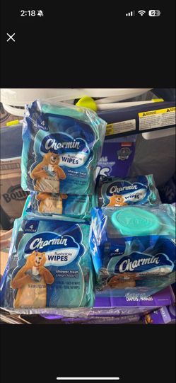 Charmin Flushable Wipes 2$