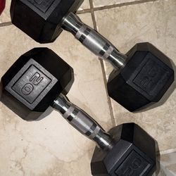 20lbs Dumbell Pair 
