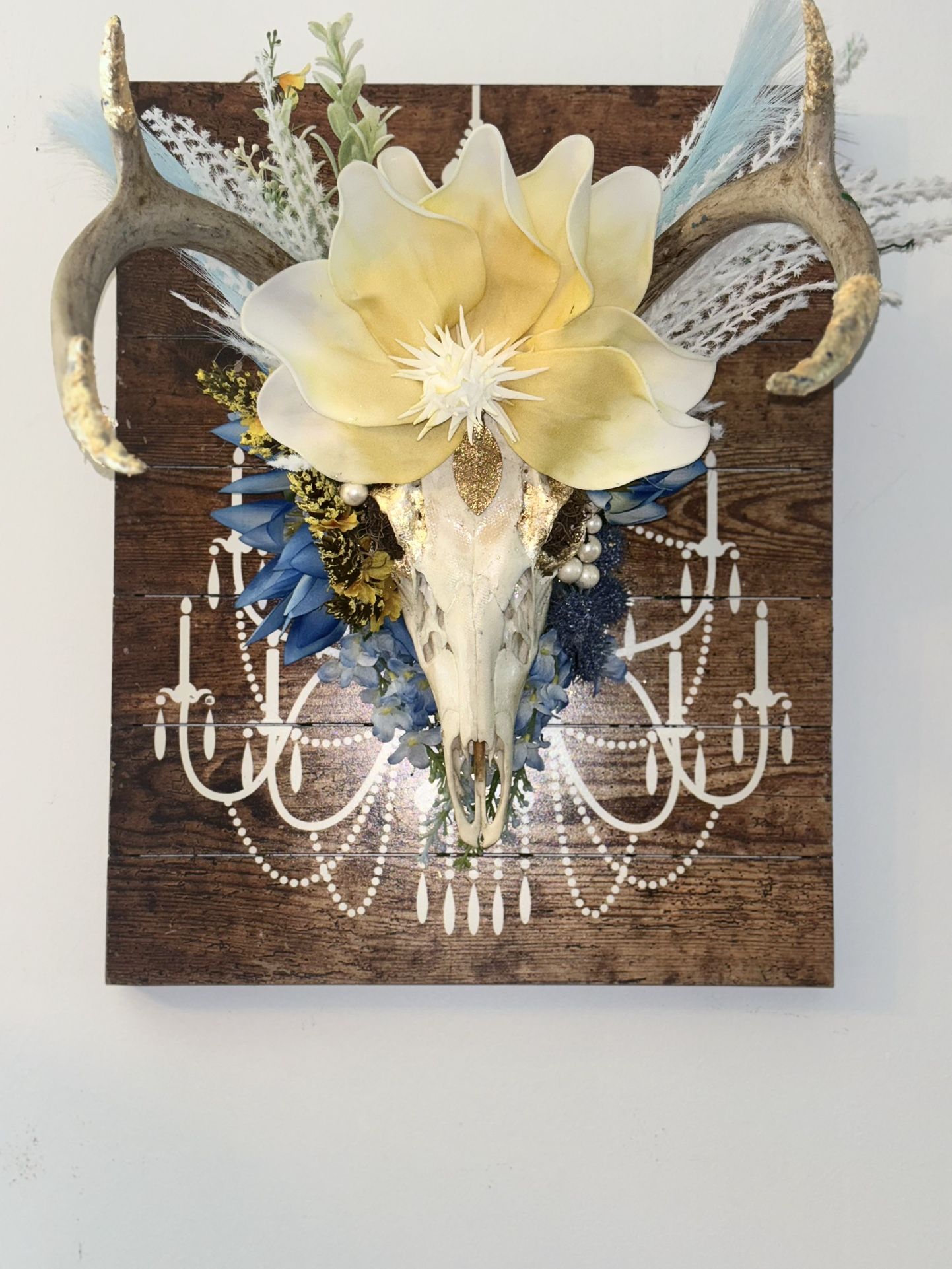 Skull Decor