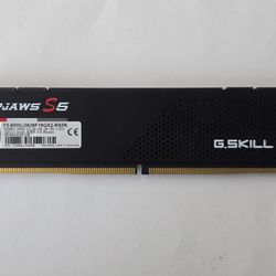 G.SKILL Ripjaws S5 16GB (1x16GB) 6000 MT/s *CL36* DDR5 (INTEL XMP) Desktop RAM Module