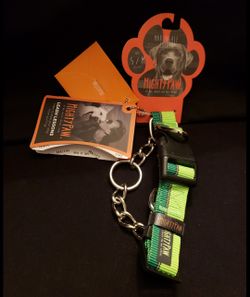 🔥 DIABLA'z - NEW UNUSED - Green S/M Stainless Steel Martingale Style Dog Chain Collar