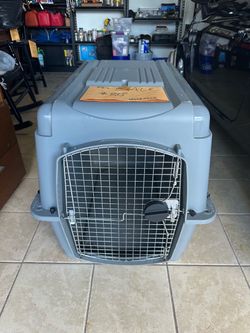 Kennel