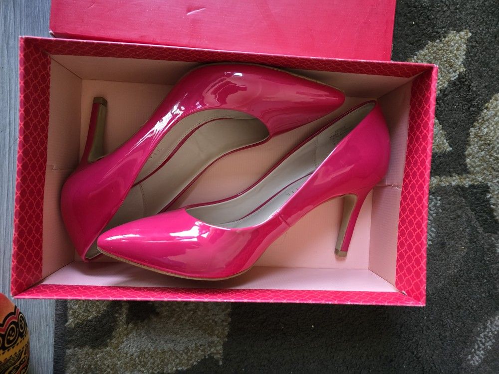 Women's Business Clothing, Bags, Shoes
