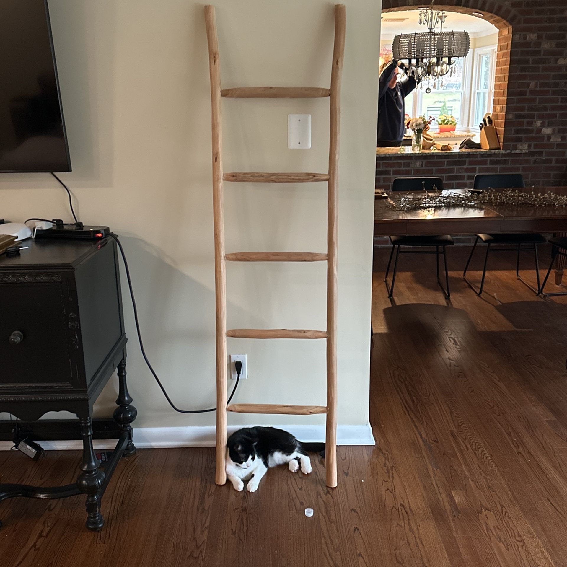 Decorative Ladder