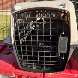 Pet Carrier 