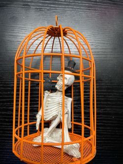 Halloween decoration- skeleton and owl in a birdcage