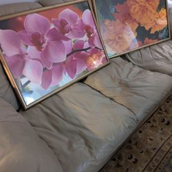 Flowered Photographers 