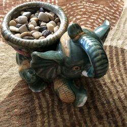 Lucky elephant bamboo plantar