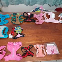Extra Small To Medium Dog Harnesses