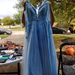 Prom Dress Quinceanera Dress