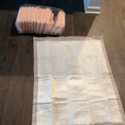 Xtra Large Absorbent Pads For Mattress Or Pets