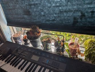 Pots and plants