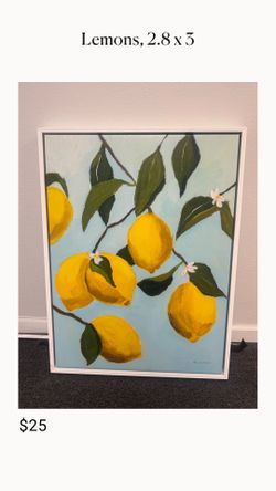 Framed Art, Lemons 2.8 x 3
