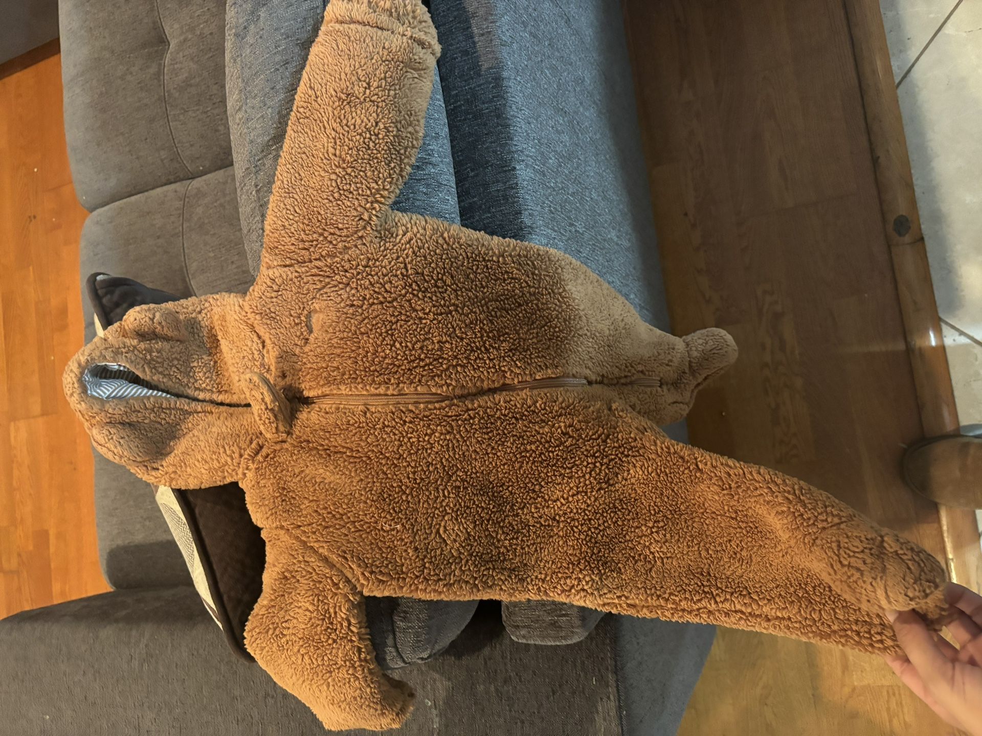 Teddy Bear Baby Suit