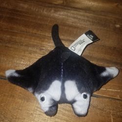 NatGeo Plush Stingray