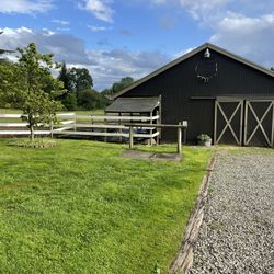 Full Care Horse Boarding. 
