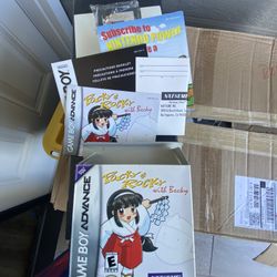 Pocky & Rocky Game Boy Advance Game