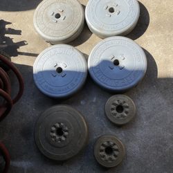 Barbell Weights 15 Lb 10 Lb And 5 Lb