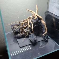 Aquascaping Supply Orlando 
