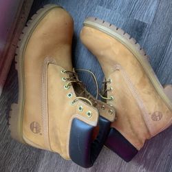 Timberland 11.5 