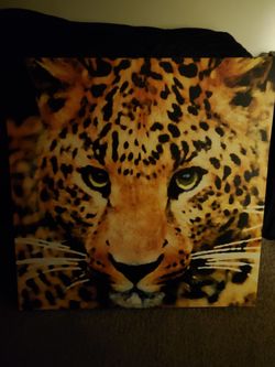 3.5 X 3.5 canvass picture