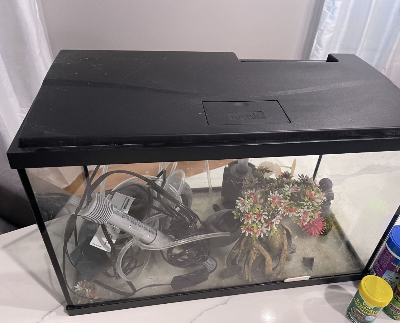 Aquarium / Fish Tank