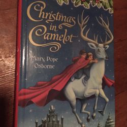 Magic tree House Christmas Book