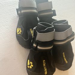 Boots For Dog New