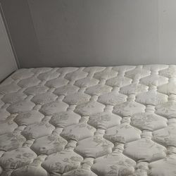 Free Queen Mattresses 