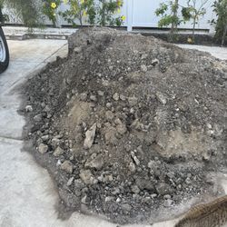 Dirt Free
