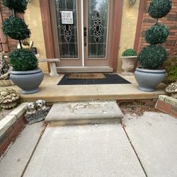 Very  Nice 2 Plants for both