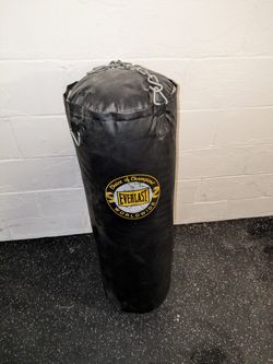 Everlast Punching Bag And Gloves