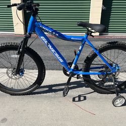 Genesis 24" mountain bike