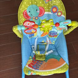 Fisher Price Infant Bouncer