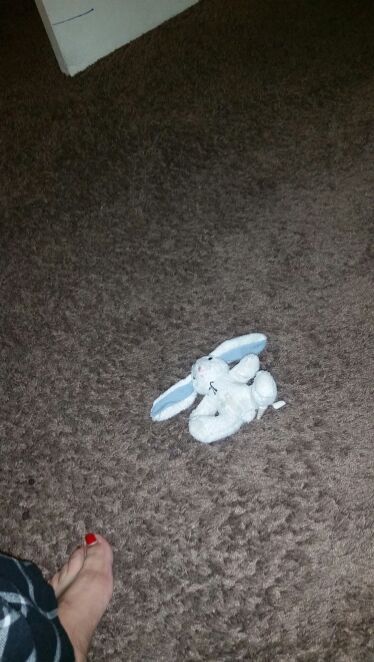 Vendo un conejo wfdjnjc.com