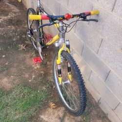 Giant Cadex Carbon Hardtail Mountain Bike Upgraded