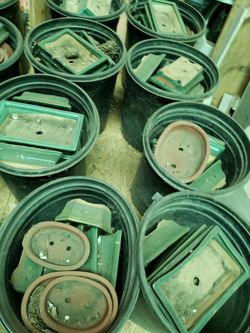 Planteros de seramica