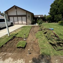 Free Grass Took Out Td 7-14-25