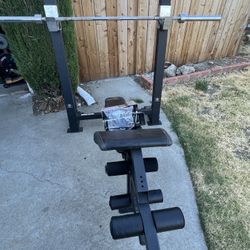 Golds Gym Olympic bench