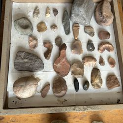 Stone Tools And Fossils 