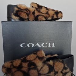 Coach Women's Holly Shearling Loafers