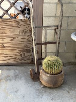 Decorative hand truck with pot and plant