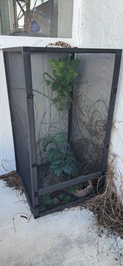 Reptile enclosure