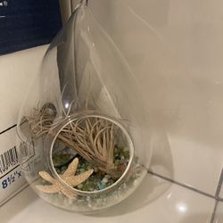 Hanging Glass Teardrop With Sealife Scene Inside  