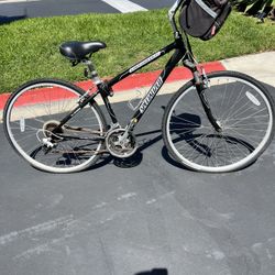 Specialized Crossroads Bike